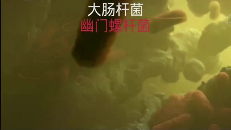 上上谦火锅餐饮具检出大肠菌群 【你知道大肠菌群是什么吗?】大肠菌群是国内外通用的食品污染常
